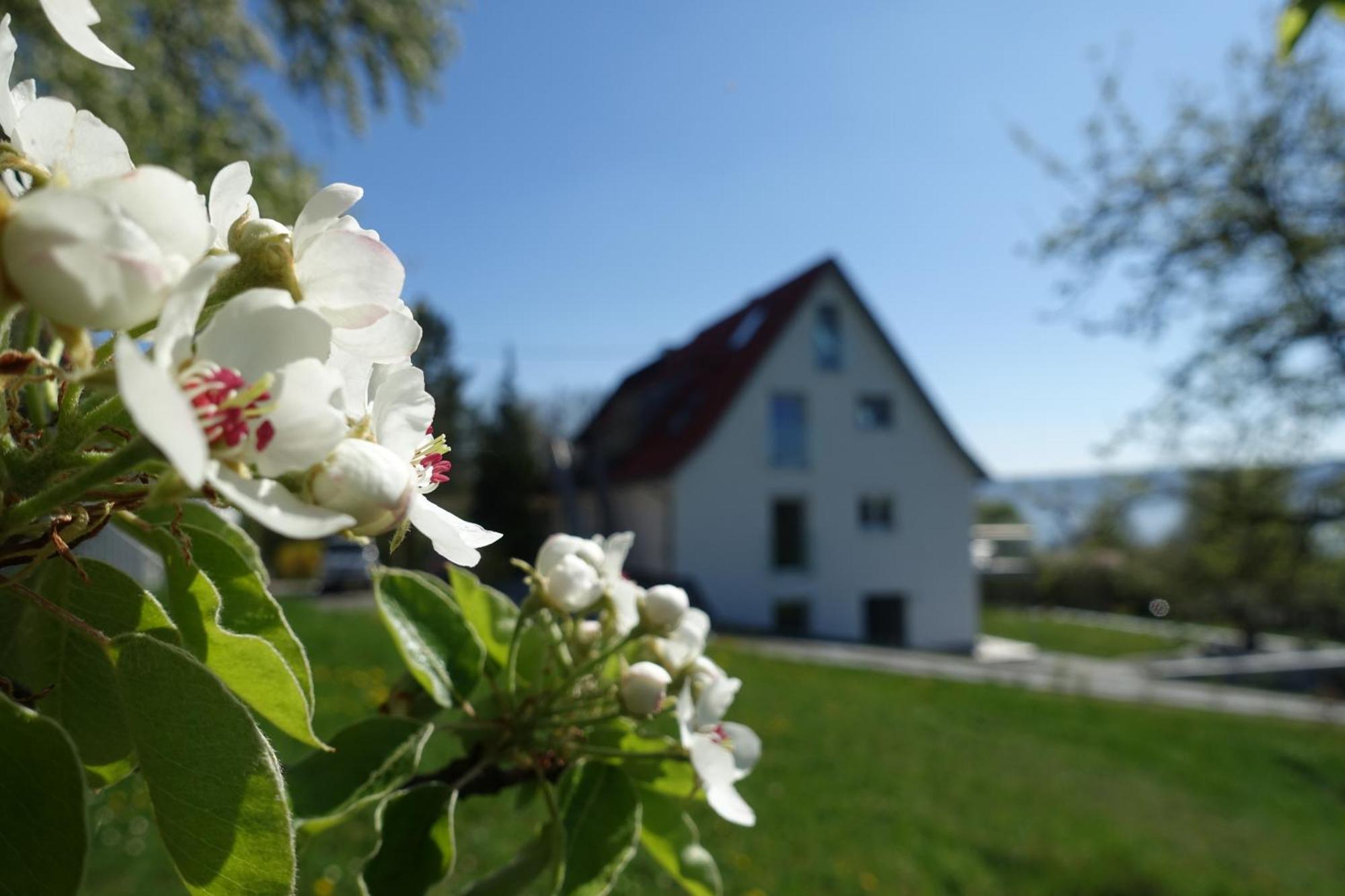 Ferienwohnung Suessenmuehle Sipplingen Exterior photo